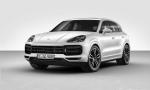Porsche Cayenne Turbo 2017 года (WW)